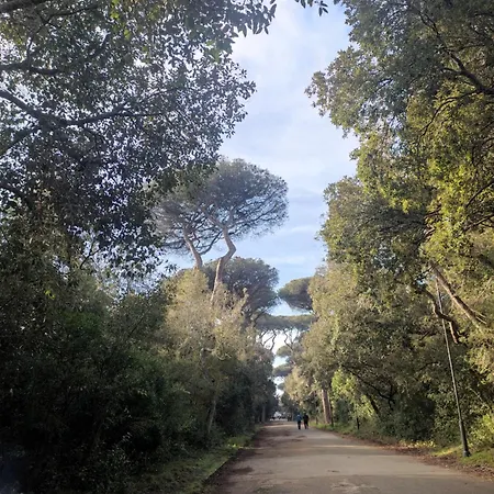 Lungomare Toscanelli *